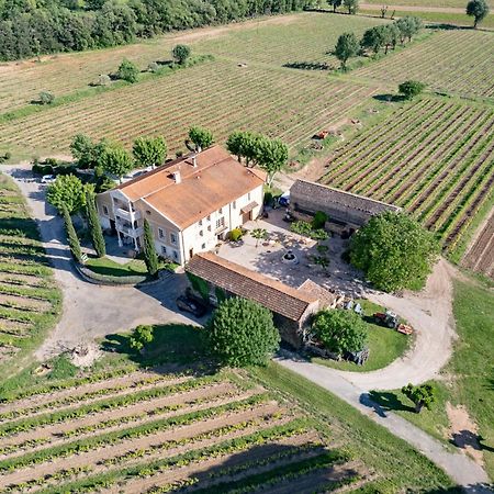 Gite Vert D'Olive Au Milieu Des Vignes - Chateau Les Apies Les Arcs-sur-Argens Exterior foto