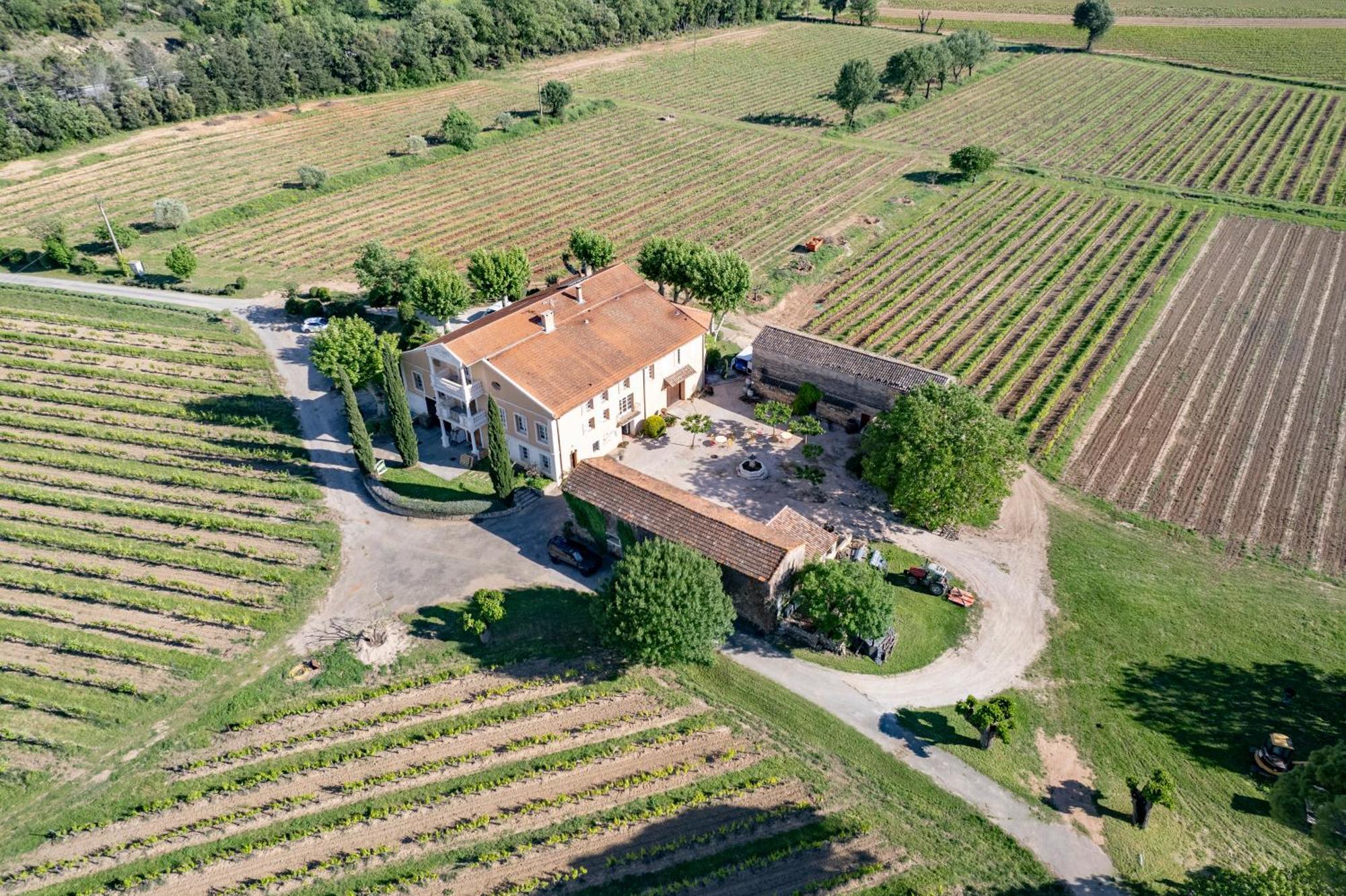 Gite Vert D'Olive Au Milieu Des Vignes - Chateau Les Apies Les Arcs-sur-Argens Exterior foto
