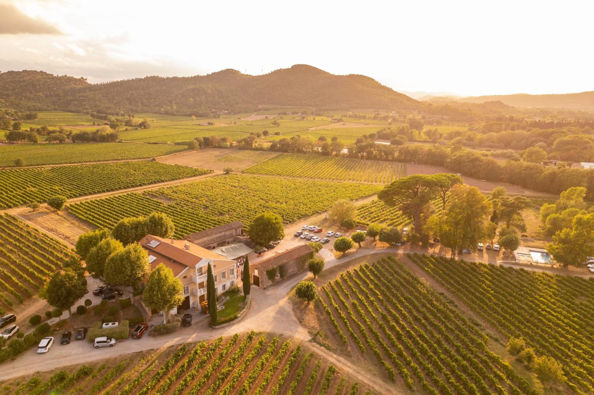Gite Vert D'Olive Au Milieu Des Vignes - Chateau Les Apies Les Arcs-sur-Argens Exterior foto