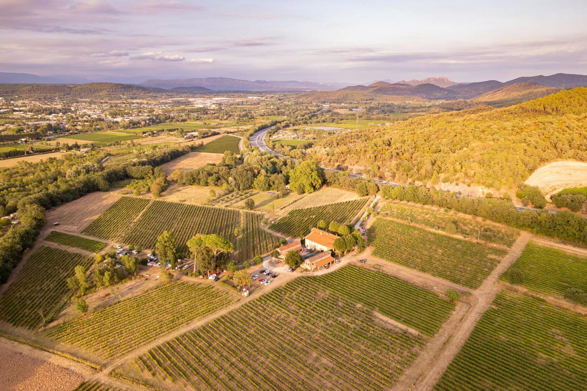 Gite Vert D'Olive Au Milieu Des Vignes - Chateau Les Apies Les Arcs-sur-Argens Exterior foto