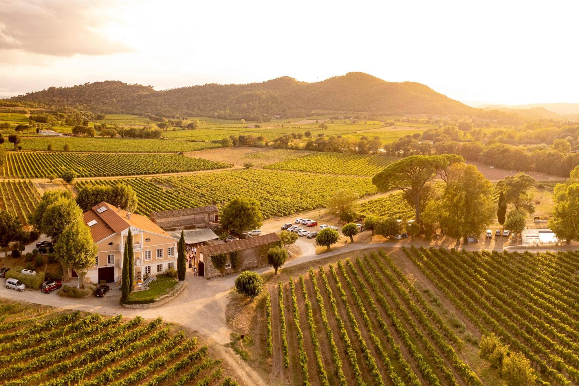 Gite Vert D'Olive Au Milieu Des Vignes - Chateau Les Apies Les Arcs-sur-Argens Exterior foto